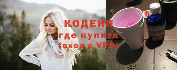 индика Баксан