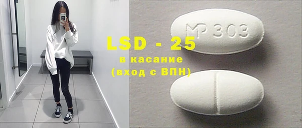 индика Баксан