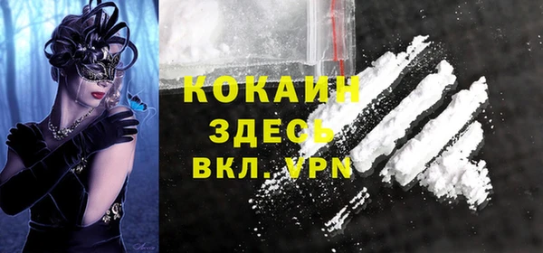 индика Баксан