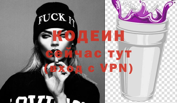 индика Баксан