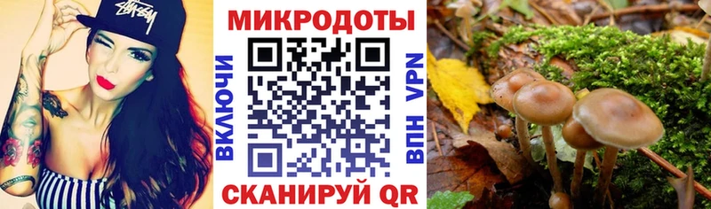 купить наркоту  Корсаков  Псилоцибиновые грибы мухоморы 