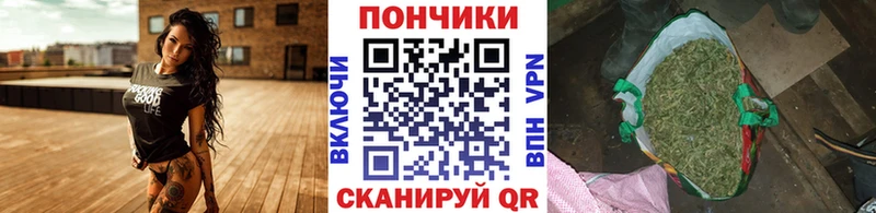 Бошки Шишки конопля  Корсаков 