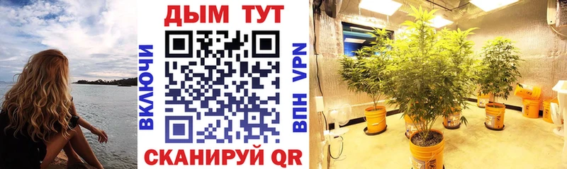 Канабис SATIVA & INDICA Корсаков
